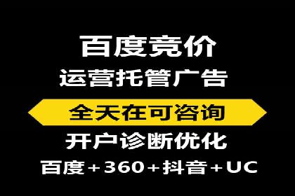 SEM搜索引擎优化：成功案例解析